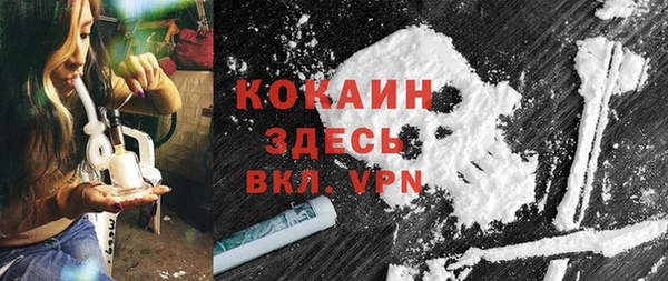 дживик Алексин
