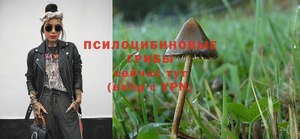 дурь Абдулино