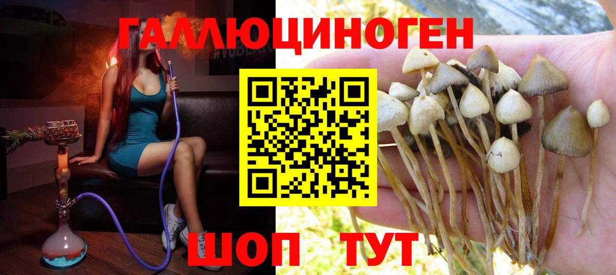Галлюциногенные грибы Cubensis  Вход с VPN  Курск 